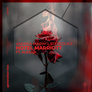 Stereoliez的專輯Hotel Marriott