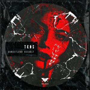 Listen to Dancefloor Assault 1 song with lyrics from TKNS