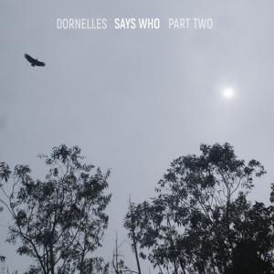 Listen to Time to Fall Out song with lyrics from Dornelles
