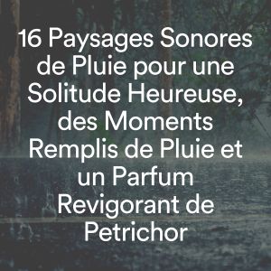 Sons De Pluie的專輯16 paysages sonores de pluie pour une solitude heureuse, des moments remplis de pluie et un parfum revigorant de petrichor