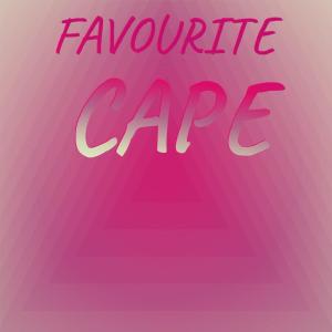 Various的专辑Favourite Cape