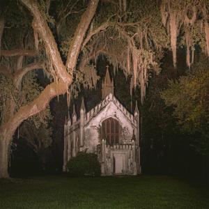 Album Strawberry Skies from Foreign Forest