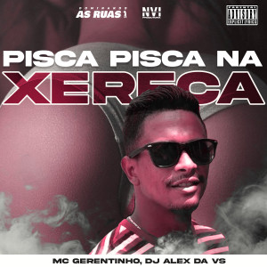 DJ ALEX DA VS的專輯Pisca Pisca na Xereca (Explicit)