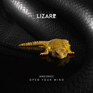 ดาวน์โหลดและฟังเพลง Open Your Mind พร้อมเนื้อเพลงจาก Mimmo Errico