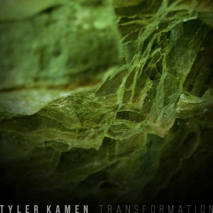 ดาวน์โหลดและฟังเพลง All the Leaves They Shake พร้อมเนื้อเพลงจาก Tyler Kamen
