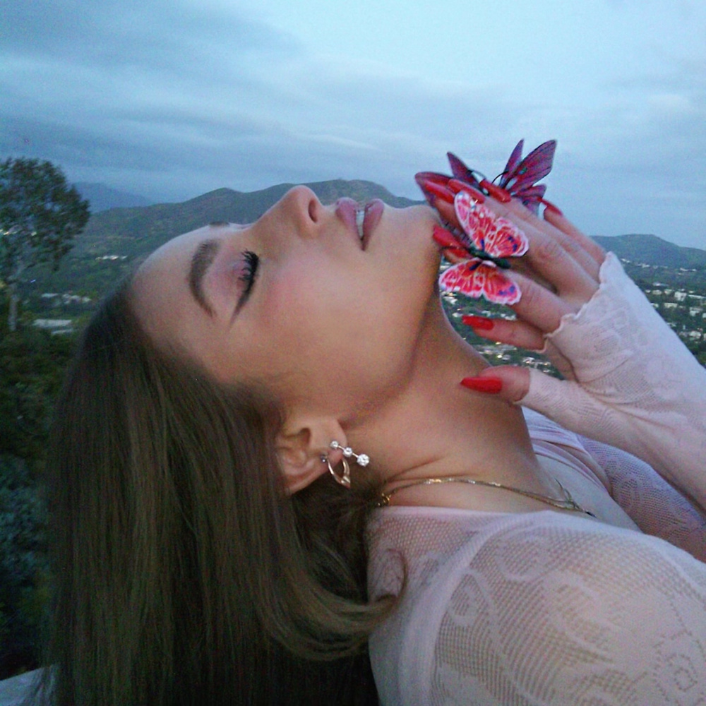 Butterflies