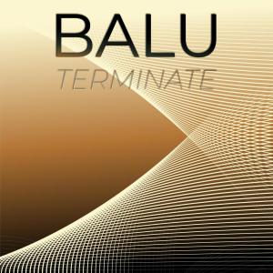 Dengarkan Balu Terminate lagu dari Stee Iben dengan lirik