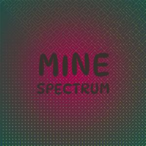 Various Artists的專輯Mine Spectrum