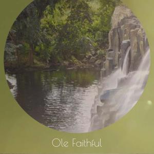 Silvia Natiello-Spiller的专辑Ole Faithful