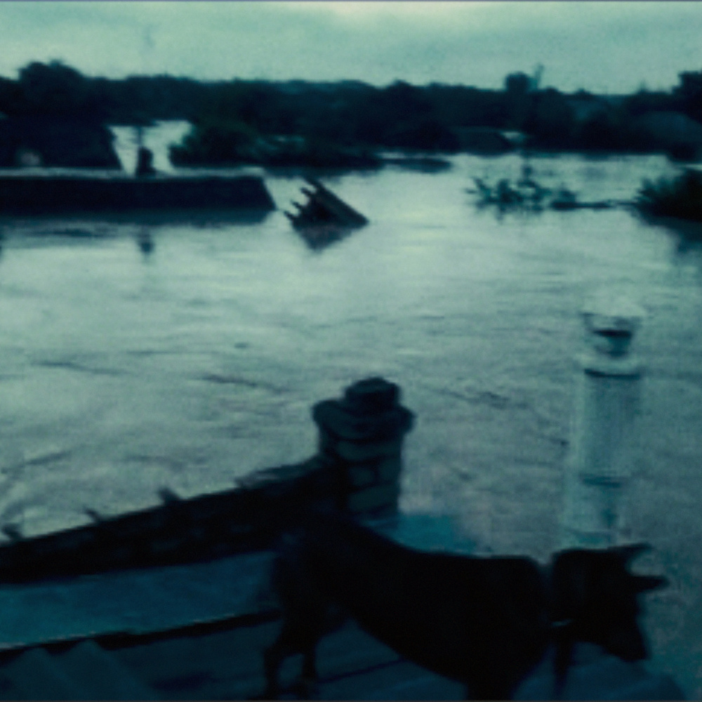 Scape (Explicit)