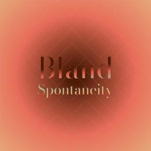 Various Artists的專輯Bland Spontaneity