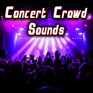 收聽Sound Ideas的Rock Concert Environment with Stage Noise & Applauding歌詞歌曲