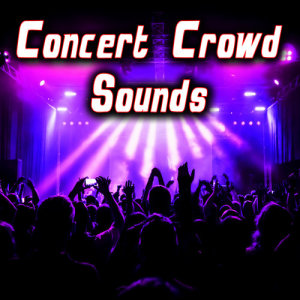 收聽Sound Ideas的Large Arena Concert Crowd Cheering & Applauding 2歌詞歌曲