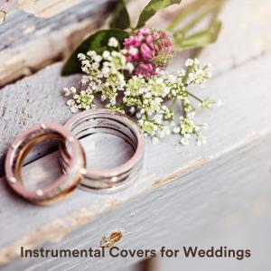 Ed Clarke的專輯Instrumental Covers for Weddings