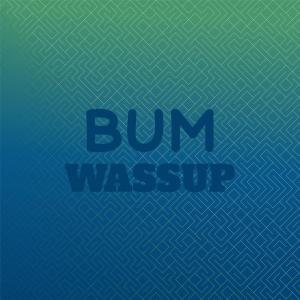 Various的专辑Bum Wassup