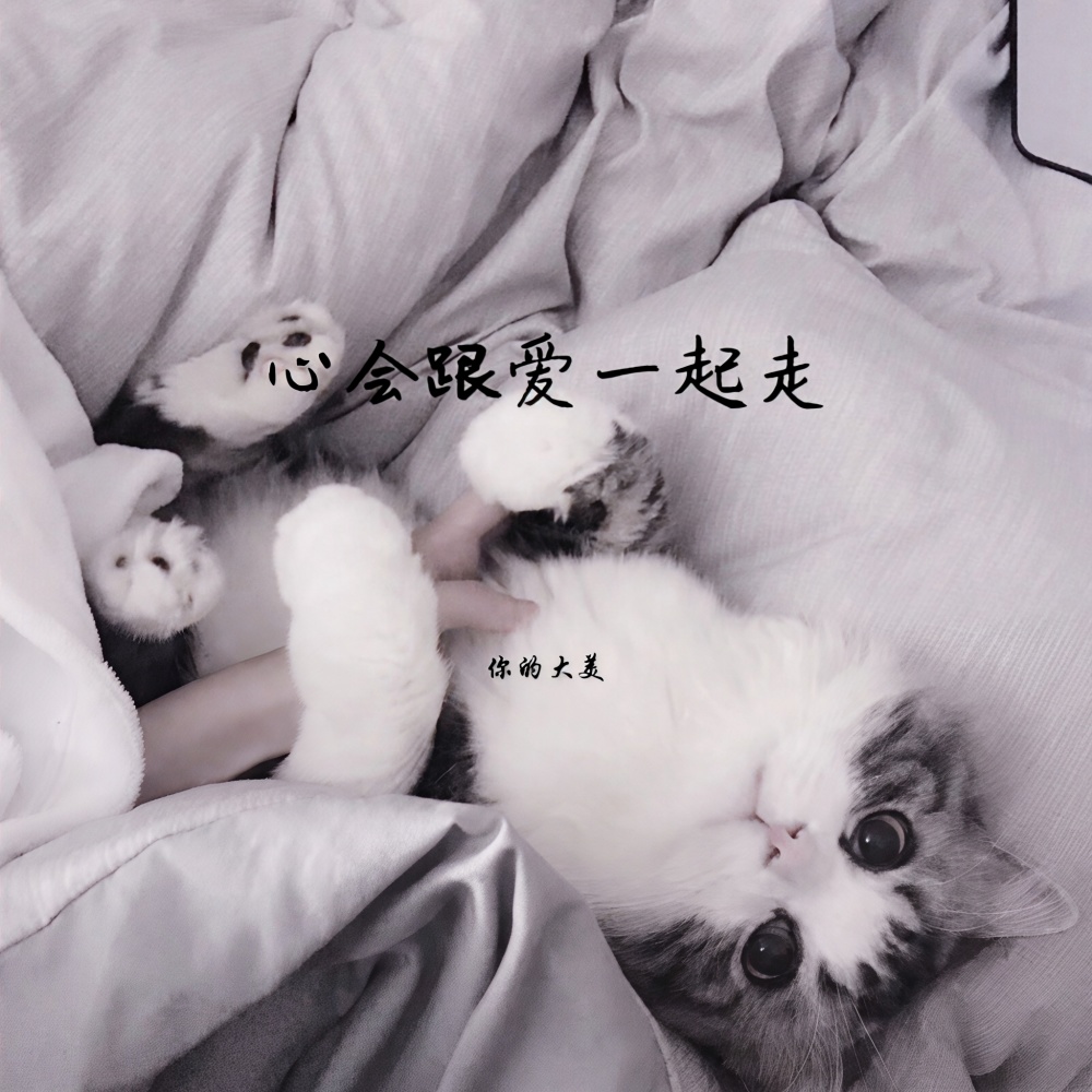 心要让你听见 (Remix)