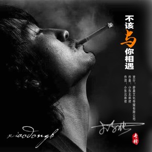 Listen to 不该与你相遇 (完整版) song with lyrics from 小东北