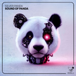 ดาวน์โหลดและฟังเพลง Sound of Panda (Extended Mix) พร้อมเนื้อเพลงจาก Silver Panda