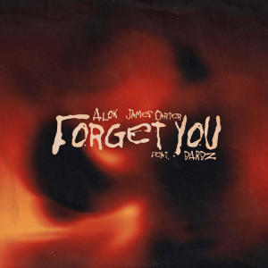 收聽Alok的Forget You歌詞歌曲