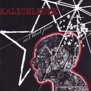 ดาวน์โหลดและฟังเพลง Complicated พร้อมเนื้อเพลงจาก Kaliceleste