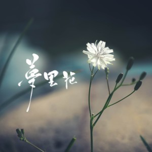 Listen to 梦里花 (cover: 张韶涵|苏醒AllenSu) (完整版) song with lyrics from 伶然而行