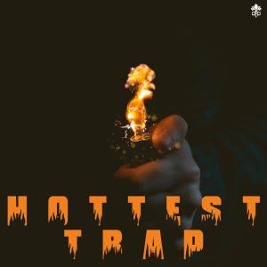 Album Hottest Trap oleh Synthetic Epiphany