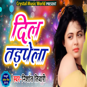 Listen to Dil Tadpela song with lyrics from Nishant Tiwari
