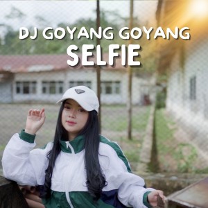 收聽DJ Goyang Goyang的Selfie歌詞歌曲