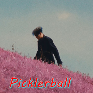Listen to Picklerball (Explicit) song with lyrics from Nguyễn Đình Dũng