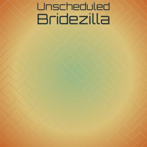 Various Artists的專輯Unscheduled Bridezilla