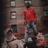 default album img