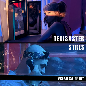 Album Vreau Sa Te Uit from Tedisaster