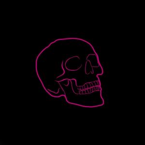 Listen to Skeletons song with lyrics from MapleRivers