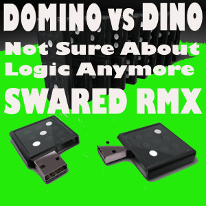 Domino的專輯Not Sure About Logic Anymore