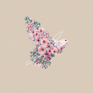 收聽Glorious的Le cantique des cantiques歌詞歌曲