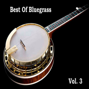 Album Best Of Bluegrass Vol. 3 from Byron Parker & His Mountaineers