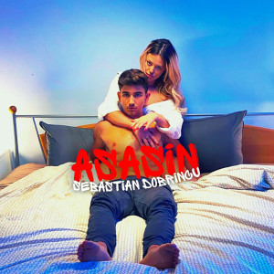 Listen to Asasin song with lyrics from Sebastian Dobrincu