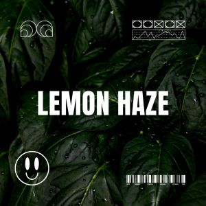 收聽Nicoh的Lemon Haze (Explicit)歌詞歌曲