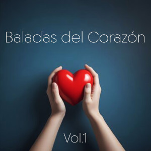 ดาวน์โหลดและฟังเพลง I Need More Of You พร้อมเนื้อเพลงจาก The Bellamy Brothers