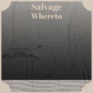 Listen to Displace Wherefrom song with lyrics from Kaia Siki