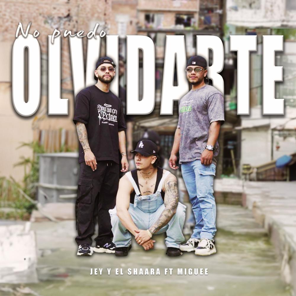 NO PUEDO OLVIDARTE (feat. MIGUE)