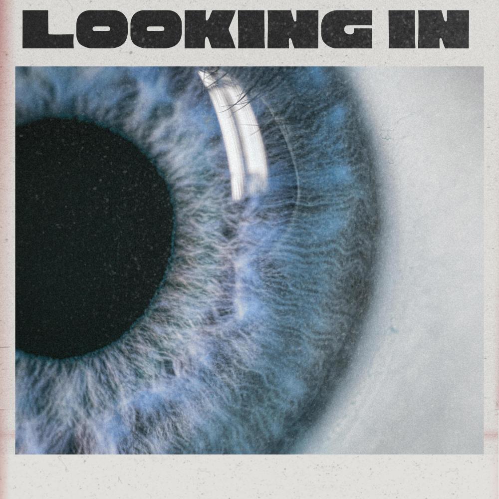 Looking In