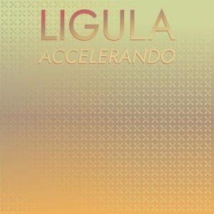 Album Ligula Accelerando from Various