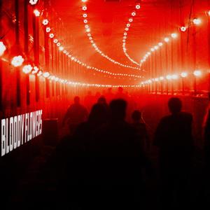 收听Pr1nce666的BLOODY FLOWERS歌词歌曲