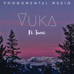 Album Vuka from Tumi