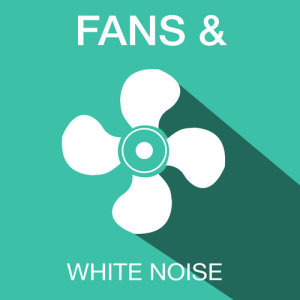 收聽Fans & White Noise的White Noise: Noise歌詞歌曲