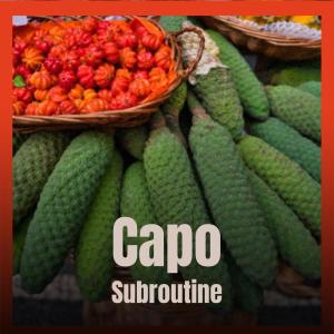 收听Rale Grone的Capo Subroutine歌词歌曲