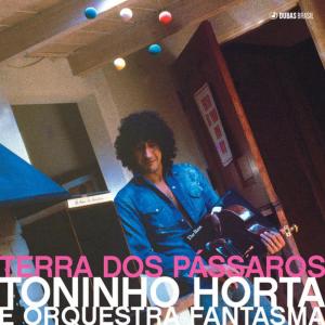 收聽Toninho Horta的Diana歌詞歌曲