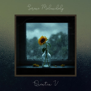 Listen to Silver Lining song with lyrics from Quentin V
