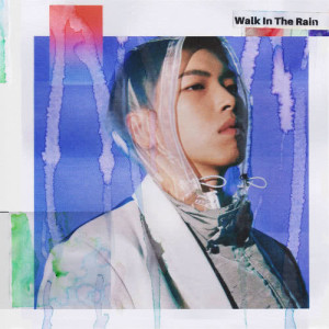 Osshun Gum的專輯Walk In The Rain